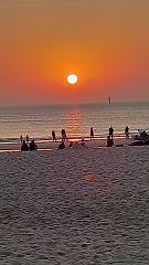 Sylt (60)